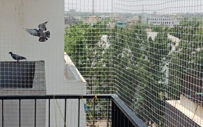 Pigeon-Nets-Installation-Service-in-Hyderabad