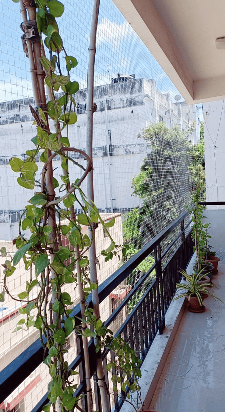 Bird-Nets-Installation-Service-in-Hyderabad